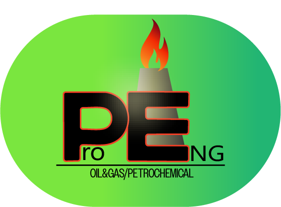 ProENG BV Logo